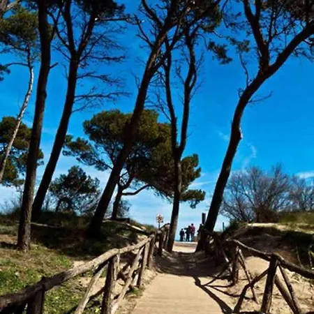 Primerisima Linea De Mar. Hutg 038644-53 아파트